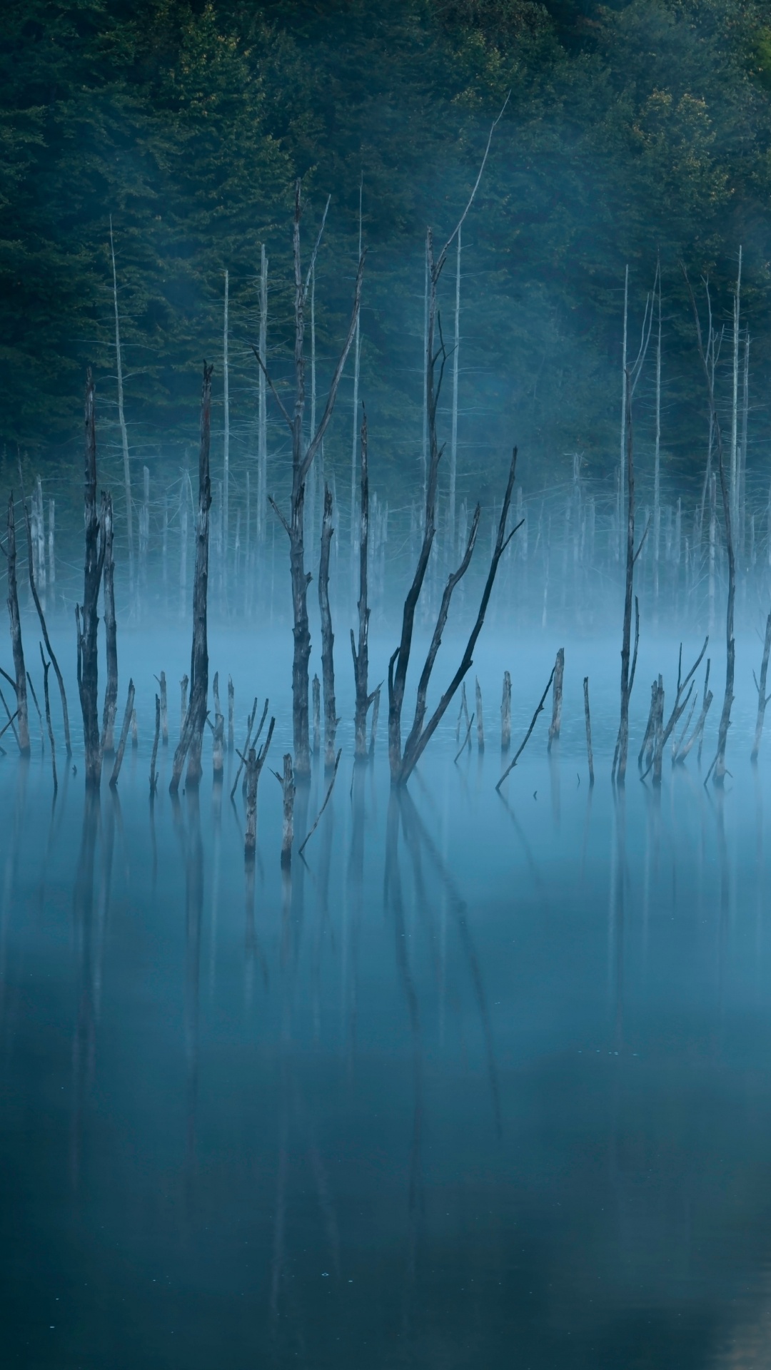 Nature, Blue, Eau, Réflexion, Paysage Naturel. Wallpaper in 1080x1920 Resolution