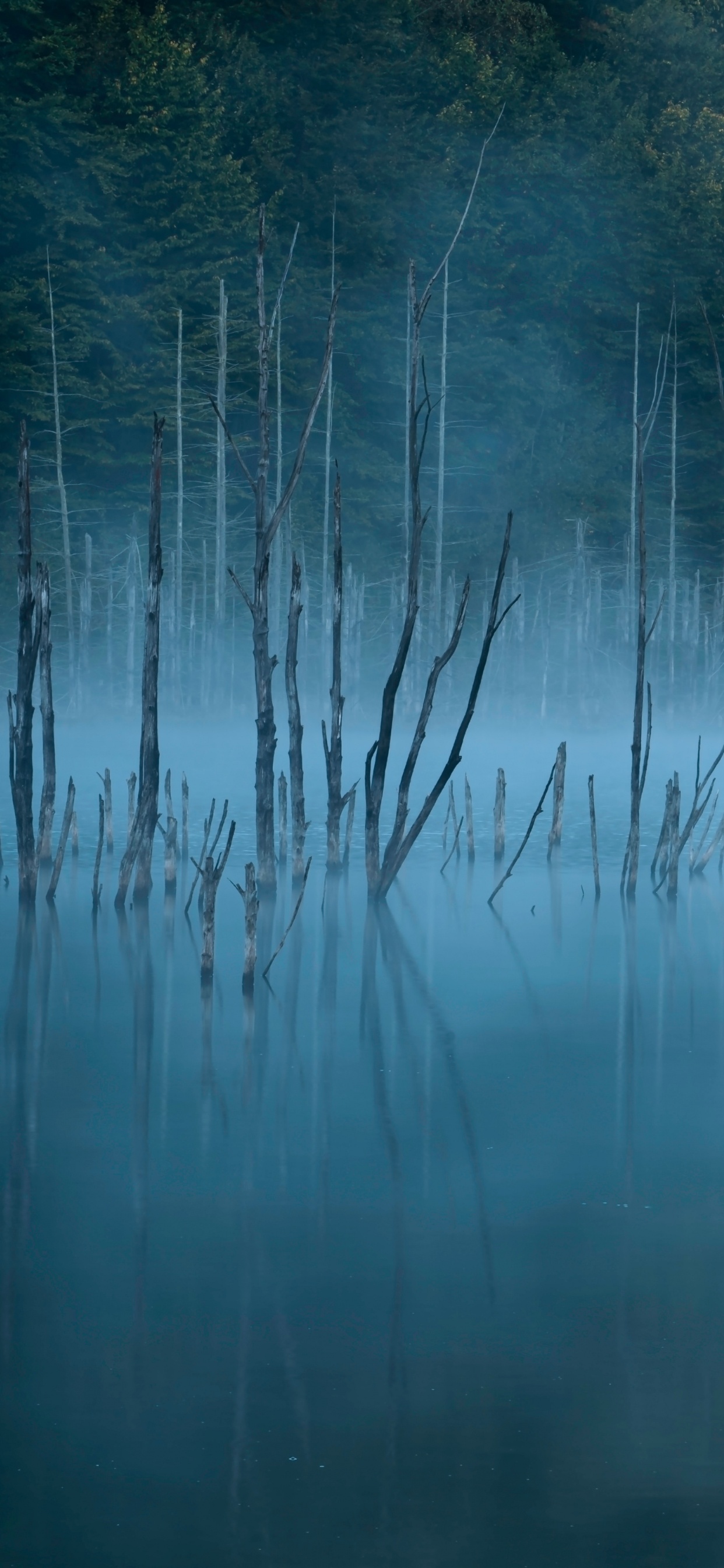 Nature, Blue, Eau, Réflexion, Paysage Naturel. Wallpaper in 1242x2688 Resolution