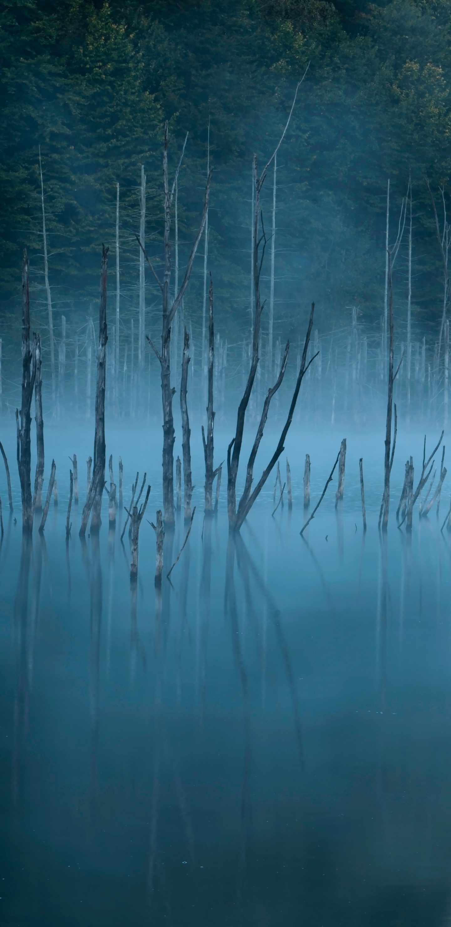 Nature, Blue, Eau, Réflexion, Paysage Naturel. Wallpaper in 1440x2960 Resolution