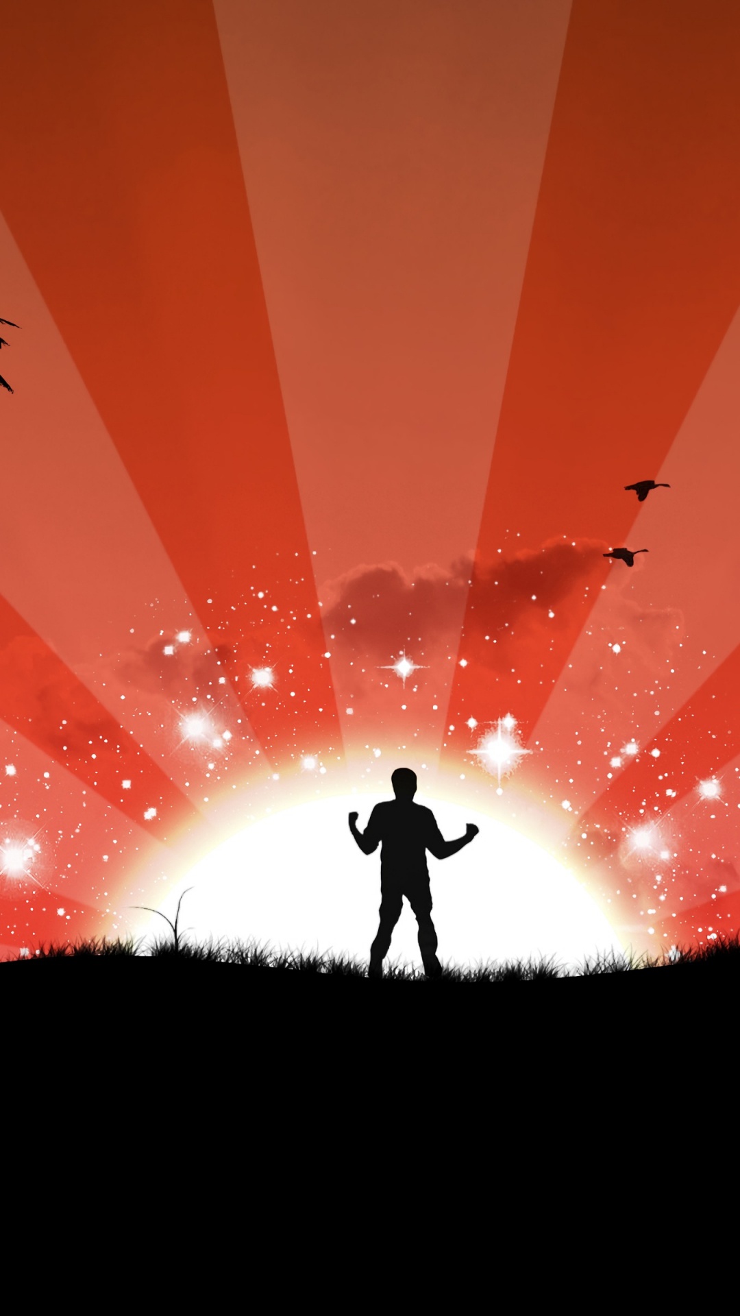 Silhouette of Man Standing on Grass Field Under Red and White Sky. Wallpaper in 1080x1920 Resolution