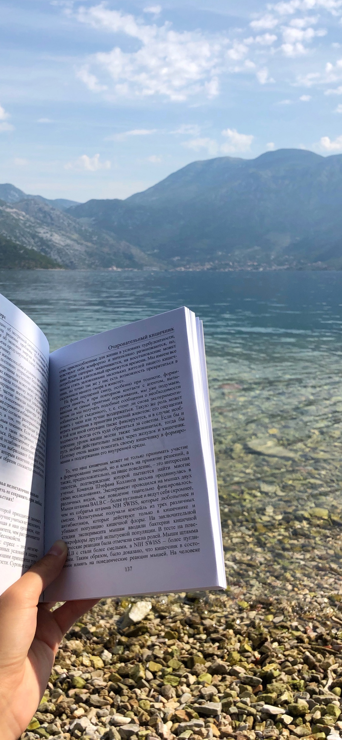 水资源, 能源, 科学, 性质, 多山的地貌 壁纸 1125x2436 允许