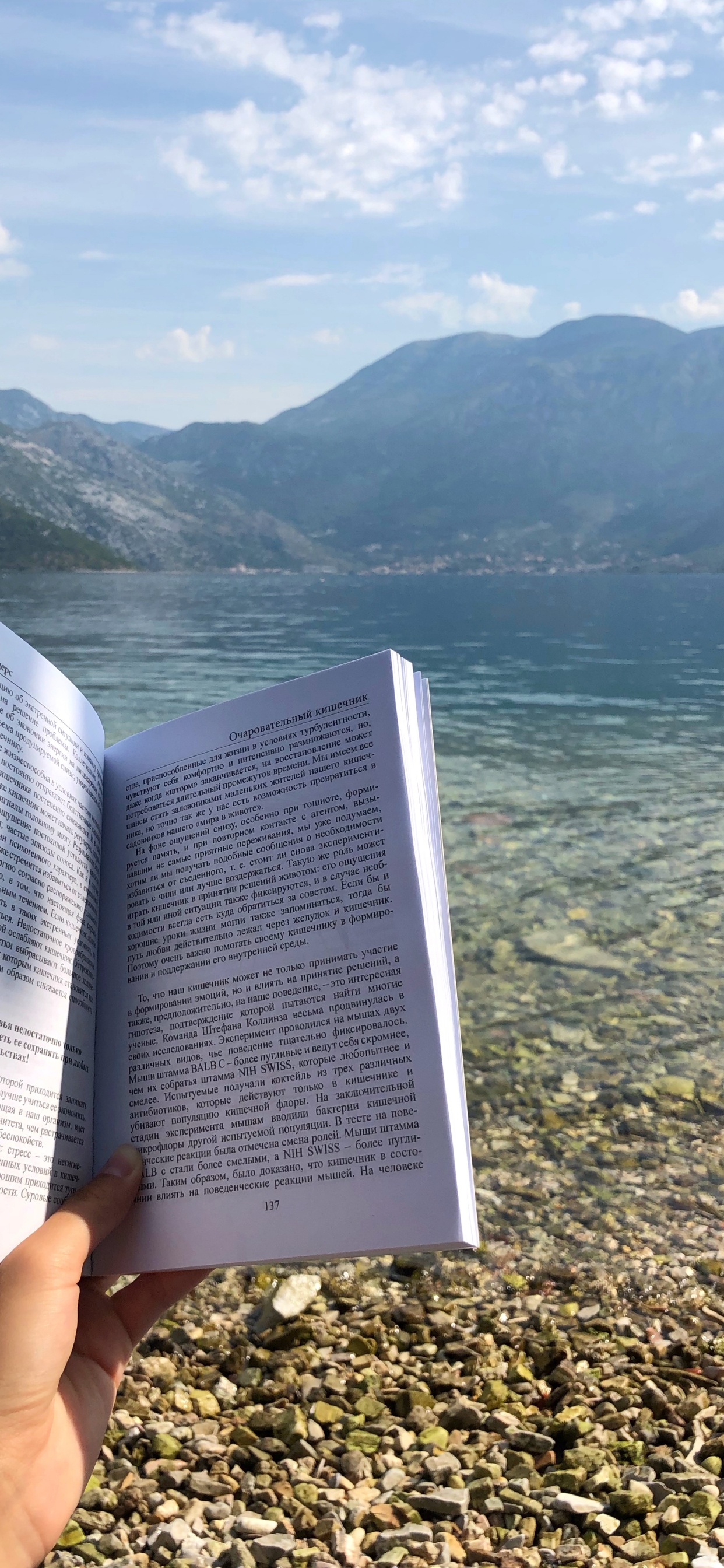 水资源, 能源, 科学, 性质, 多山的地貌 壁纸 1242x2688 允许