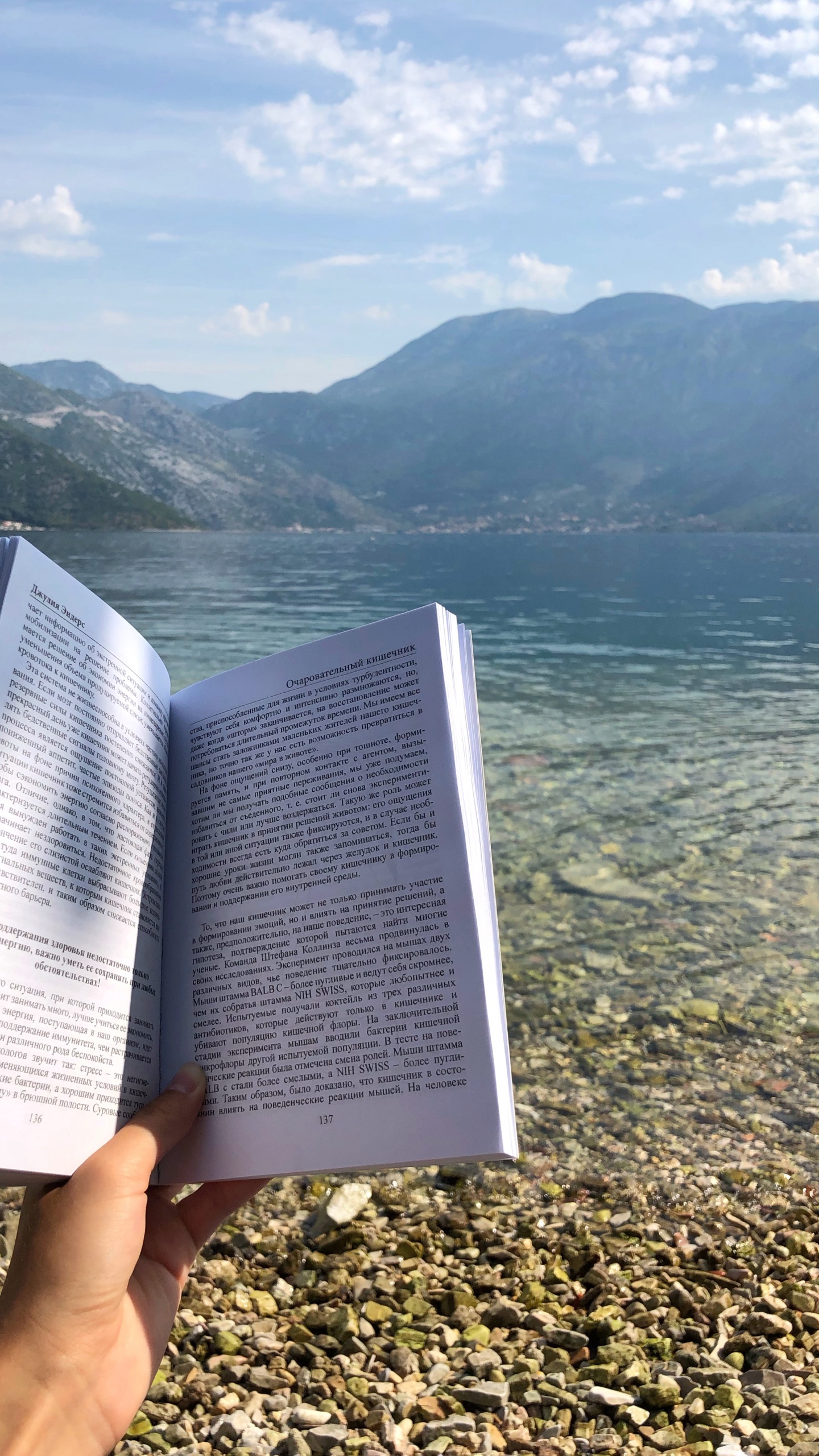 水资源, 能源, 科学, 性质, 多山的地貌 壁纸 1440x2560 允许