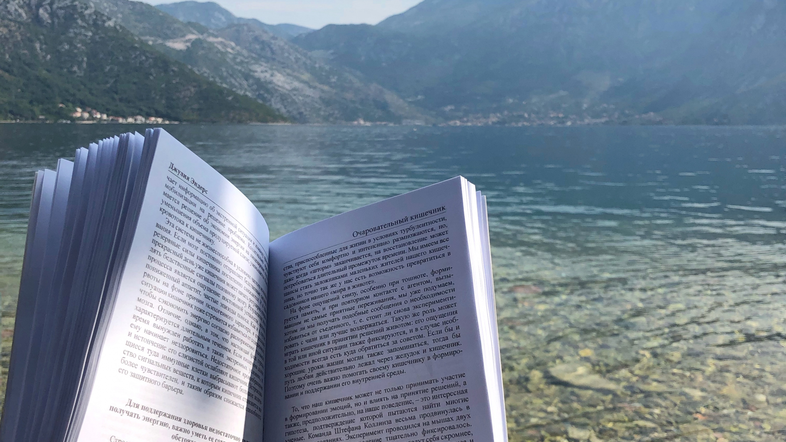 水资源, 能源, 科学, 性质, 多山的地貌 壁纸 2560x1440 允许