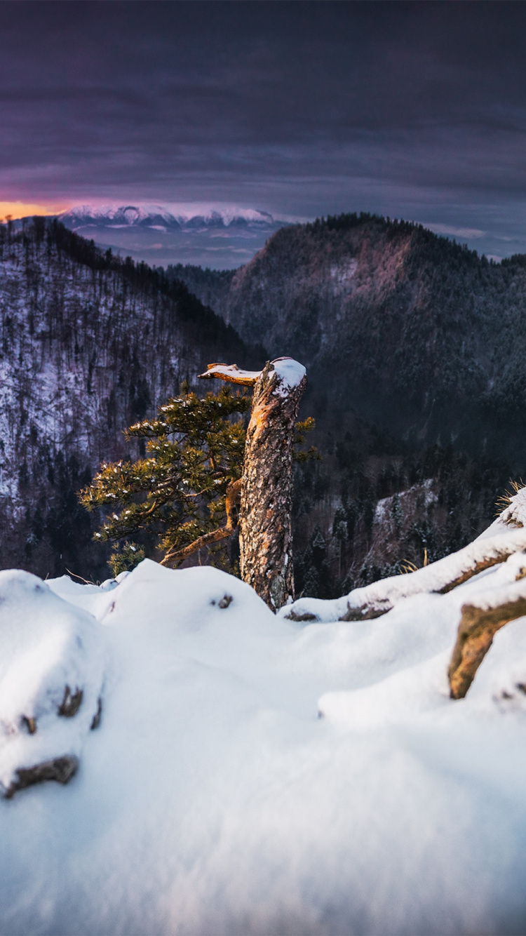 Landscape, Natural Landscape, Snow, Winter, Nature. Wallpaper in 750x1334 Resolution