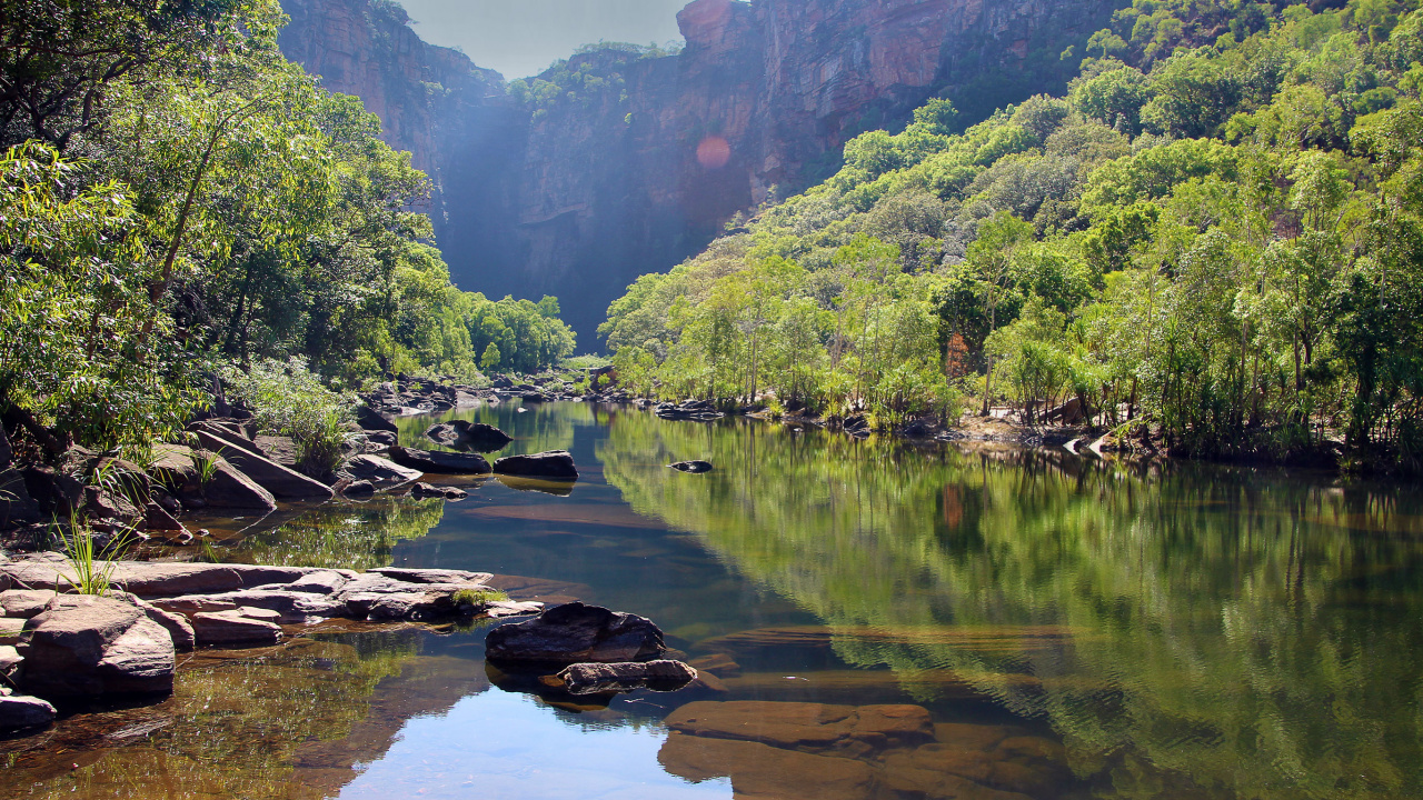 Green Trees Beside River During Daytime. Wallpaper in 1280x720 Resolution