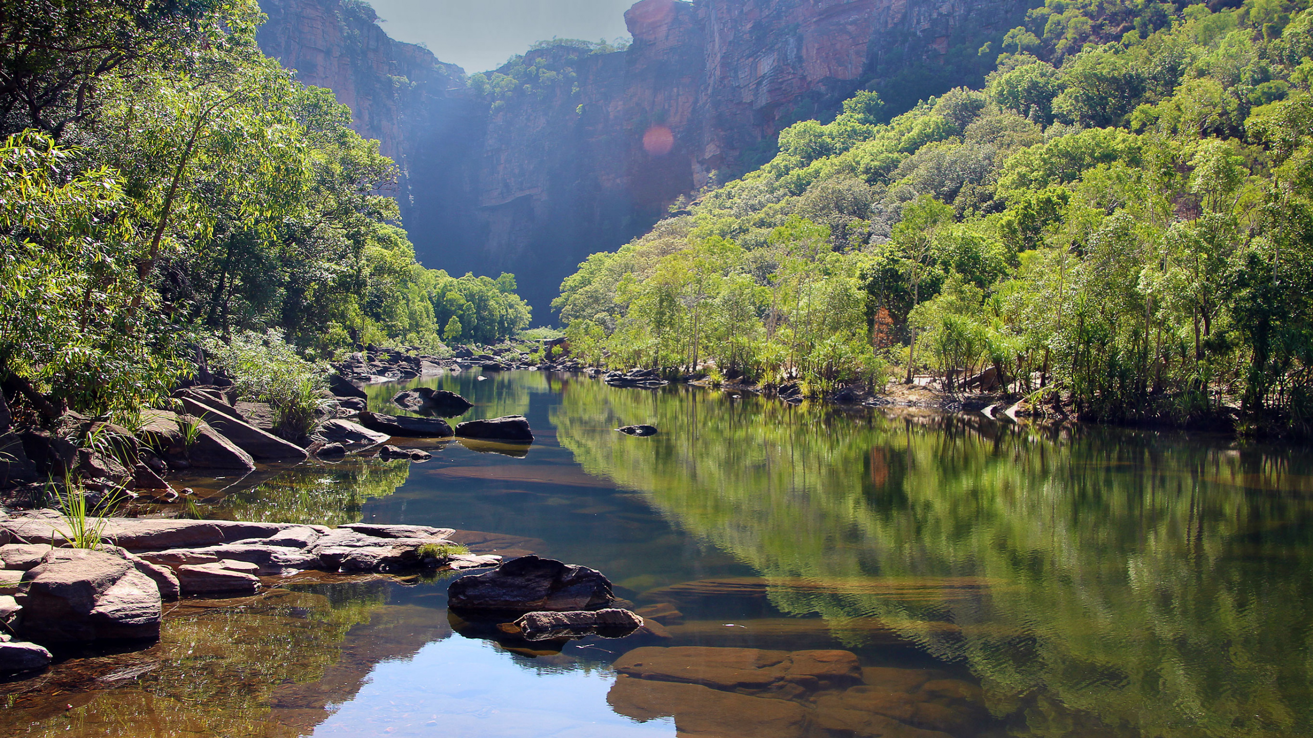 Green Trees Beside River During Daytime. Wallpaper in 2560x1440 Resolution