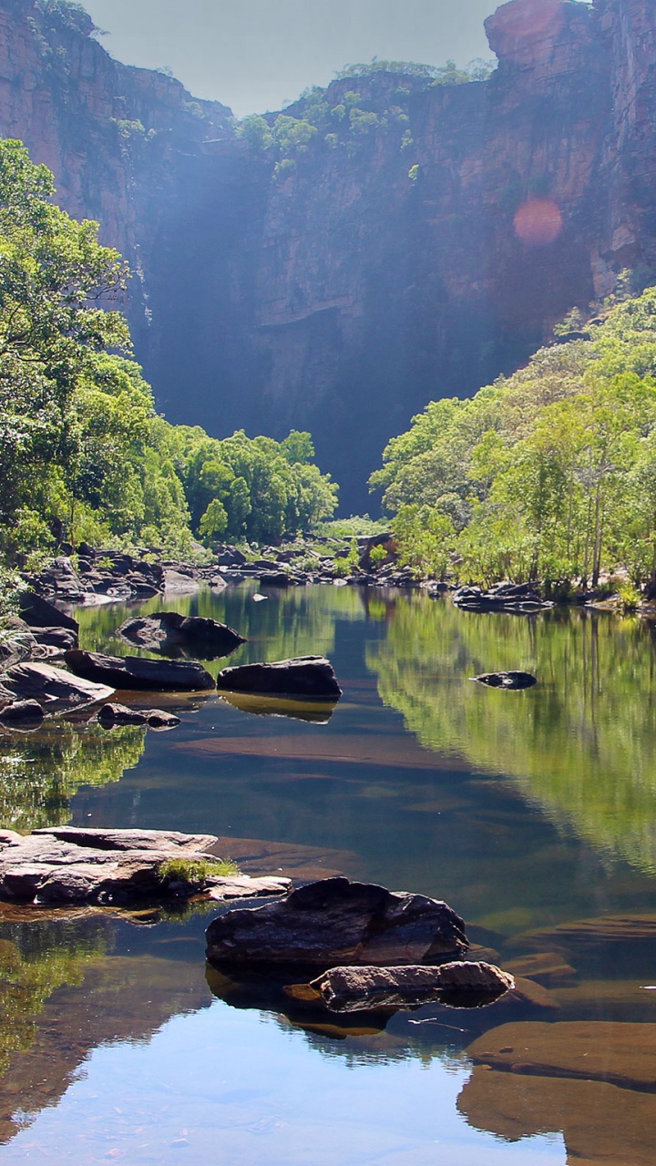 Green Trees Beside River During Daytime. Wallpaper in 720x1280 Resolution
