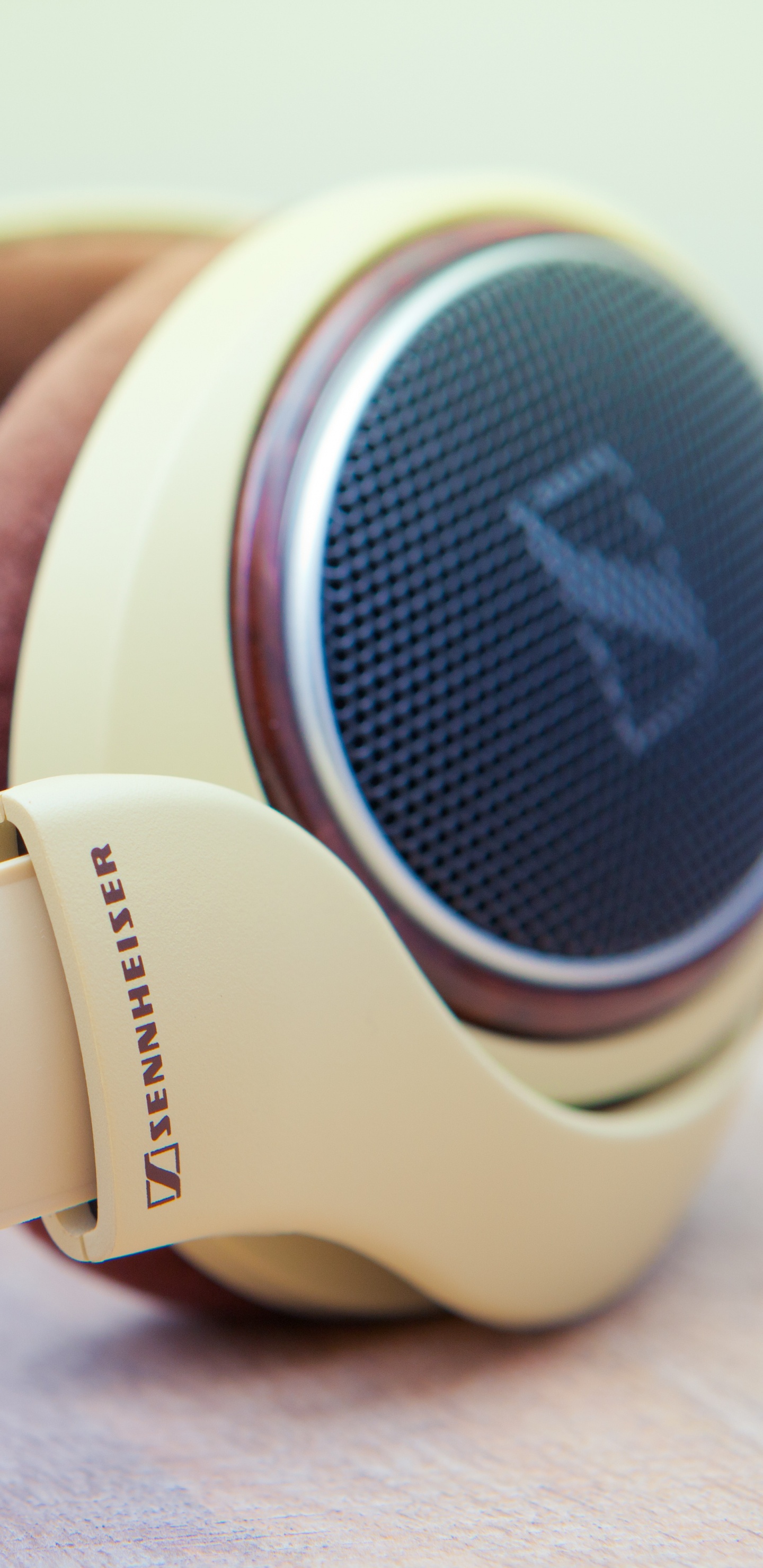 Kopfhörer, Sennheiser, Gadget, Audiogeräten, Elektronisches Gerät. Wallpaper in 1440x2960 Resolution