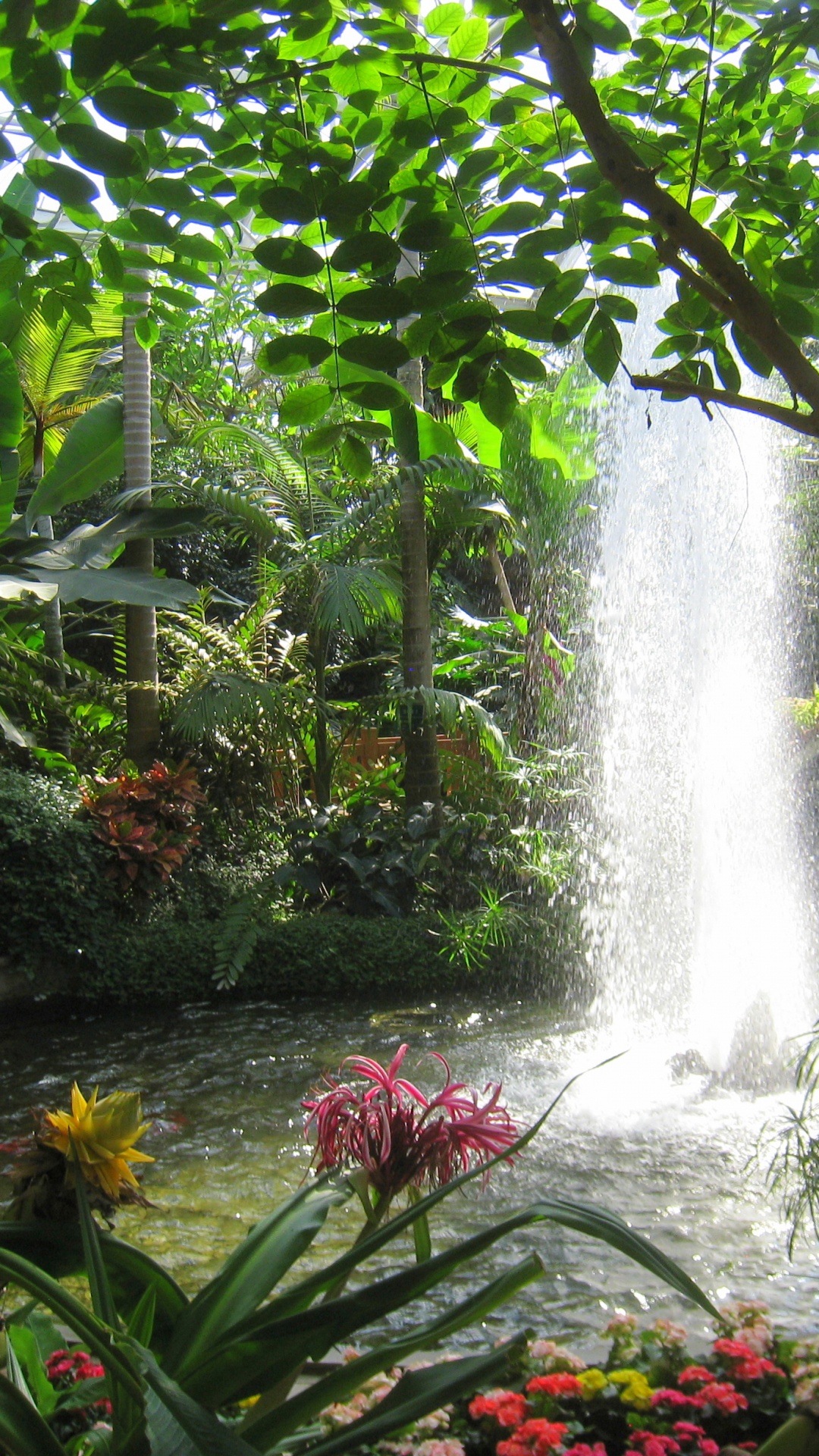 Water Fountain in The Middle of The Forest. Wallpaper in 1080x1920 Resolution