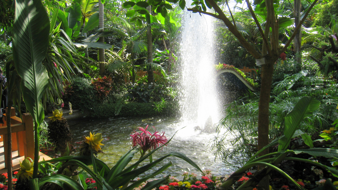 Water Fountain in The Middle of The Forest. Wallpaper in 1280x720 Resolution