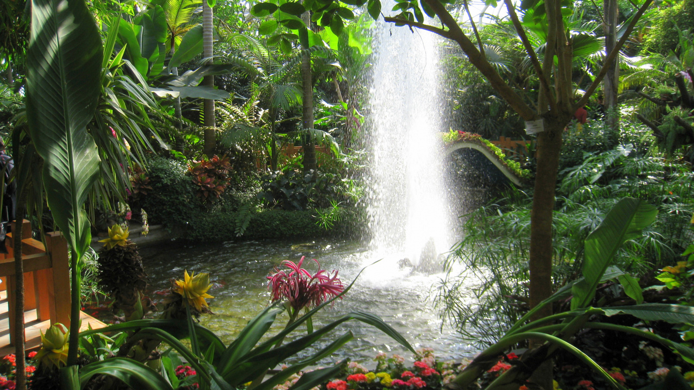 Water Fountain in The Middle of The Forest. Wallpaper in 1366x768 Resolution