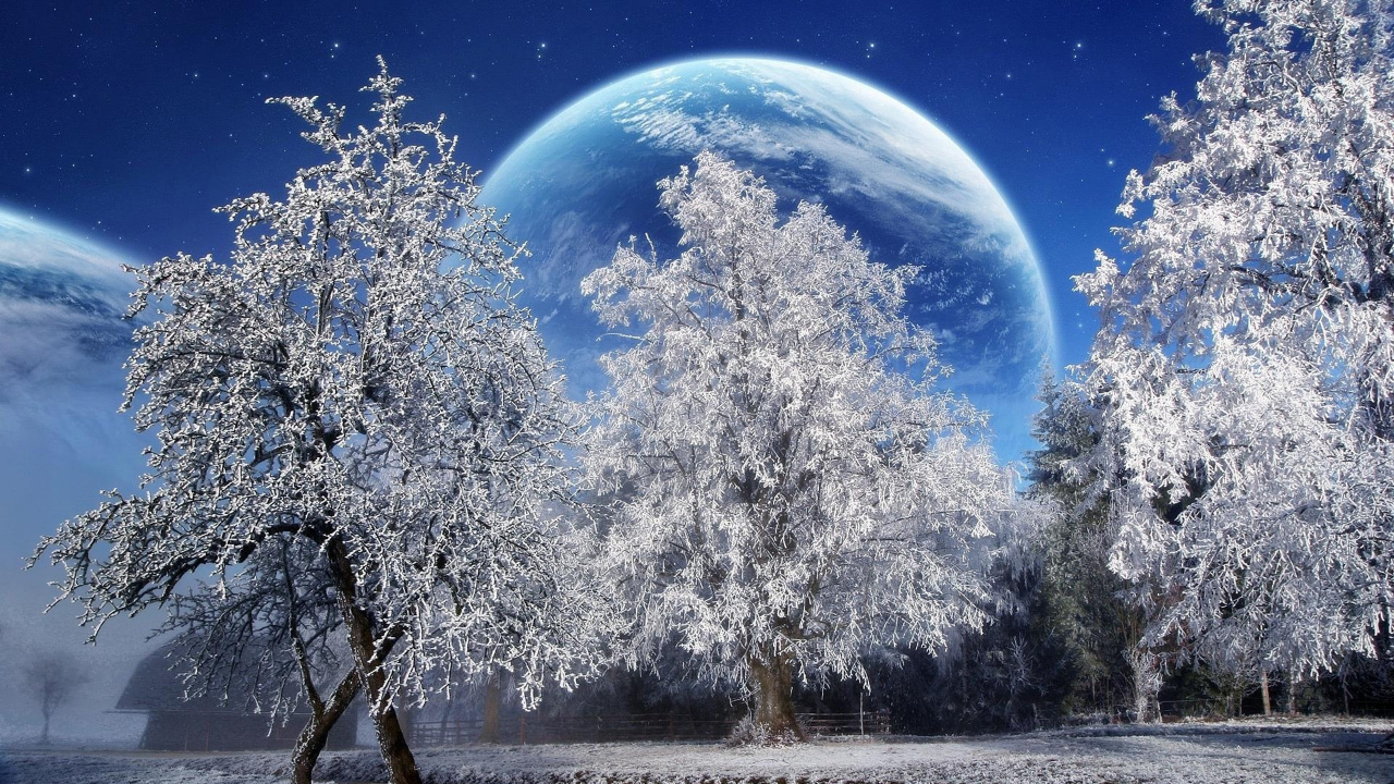 Bare Trees Under Blue Sky During Daytime. Wallpaper in 1280x720 Resolution