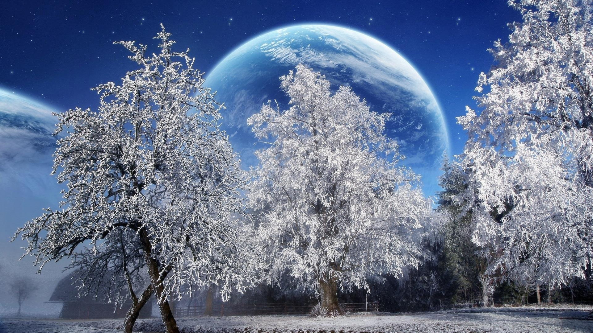 Bare Trees Under Blue Sky During Daytime. Wallpaper in 1920x1080 Resolution