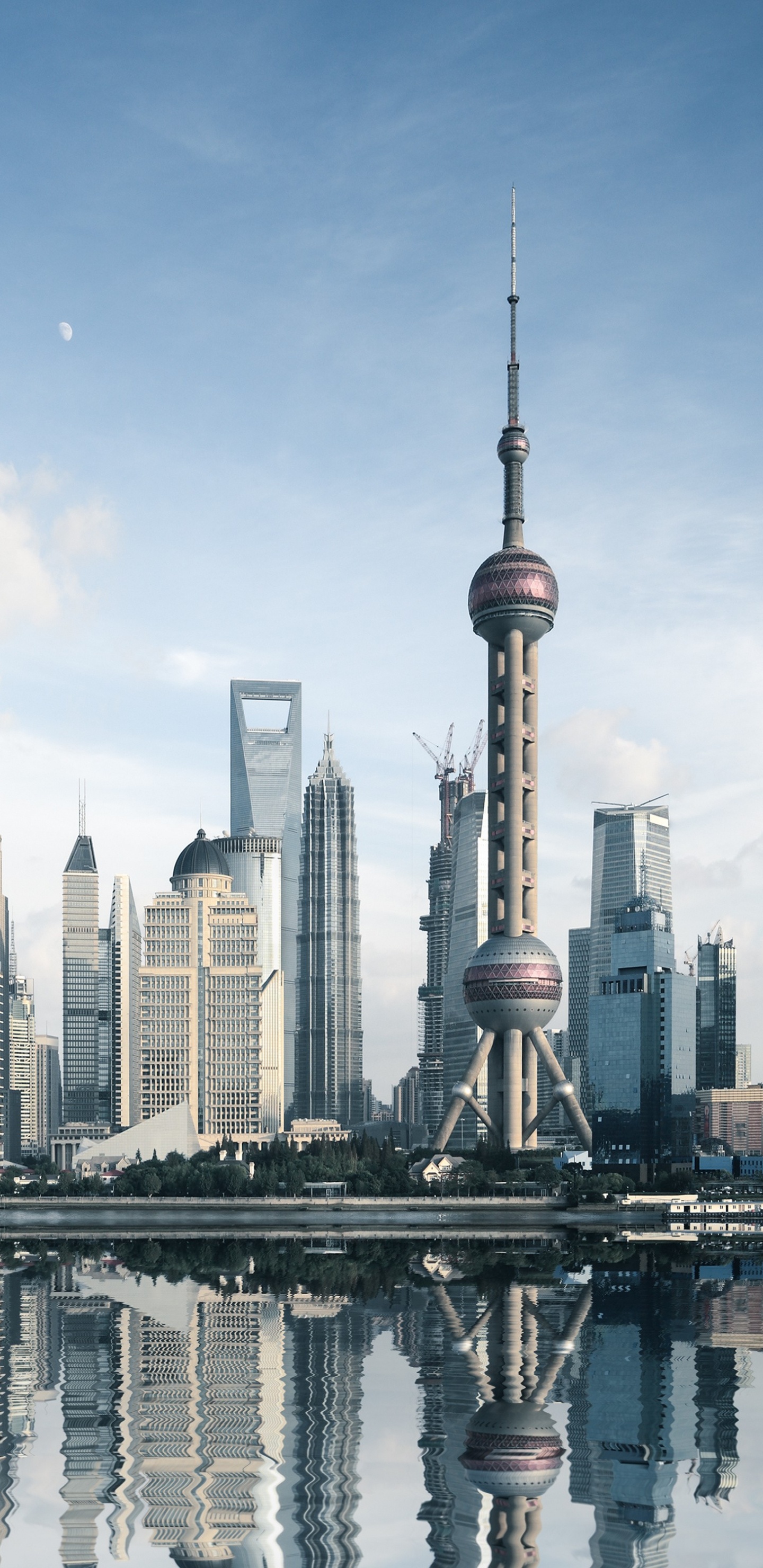 City Skyline Under Blue Sky During Daytime. Wallpaper in 1440x2960 Resolution