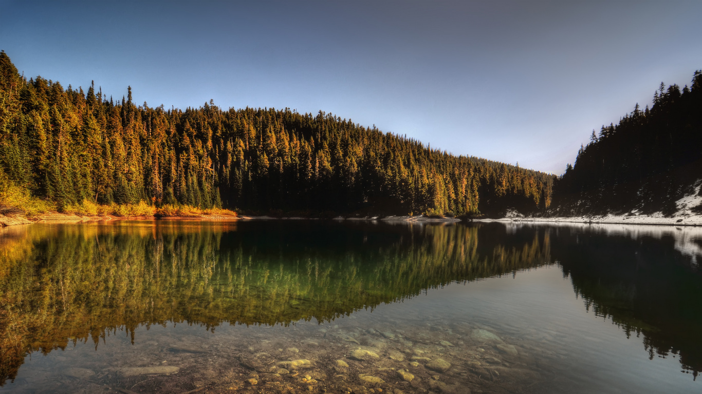 Tagsüber Grüne Bäume Neben Dem Gewässer. Wallpaper in 1366x768 Resolution