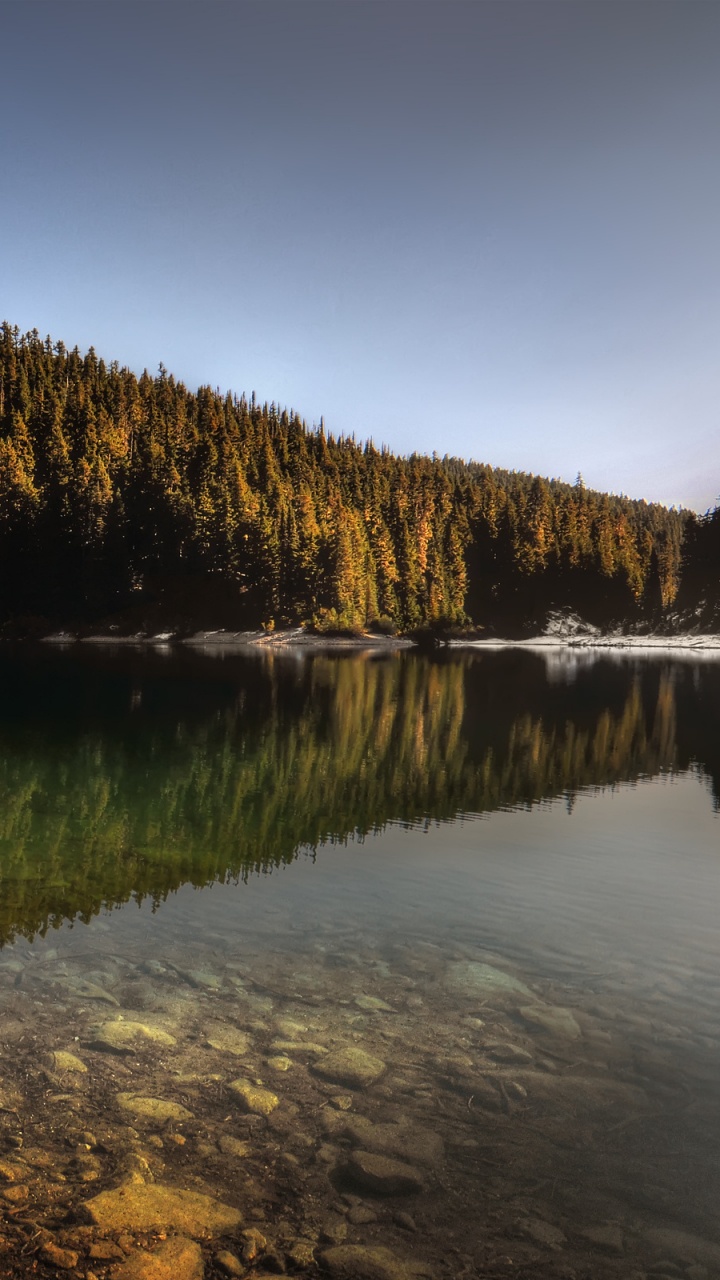 Green Trees Beside Body of Water During Daytime. Wallpaper in 720x1280 Resolution
