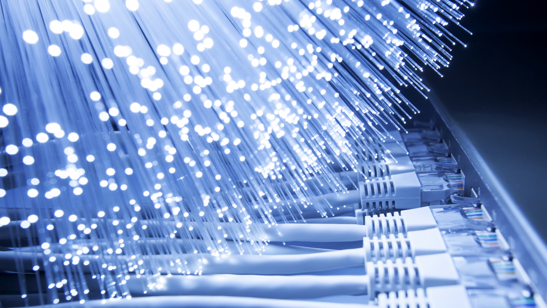 Weißes Und Blaues Gepunktetes Textil. Wallpaper in 1920x1080 Resolution