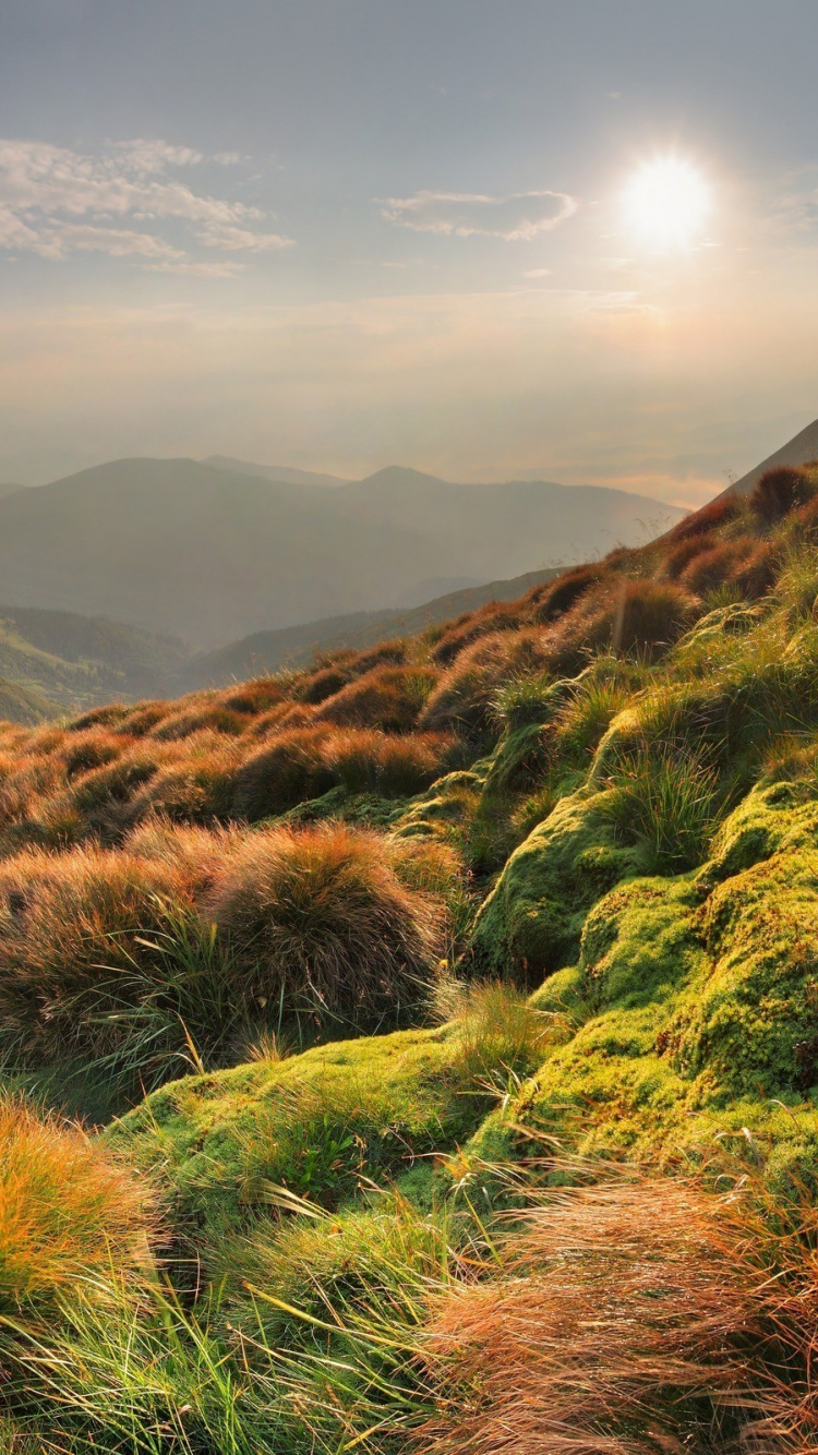 Green Grass Field Near Mountains During Daytime. Wallpaper in 750x1334 Resolution