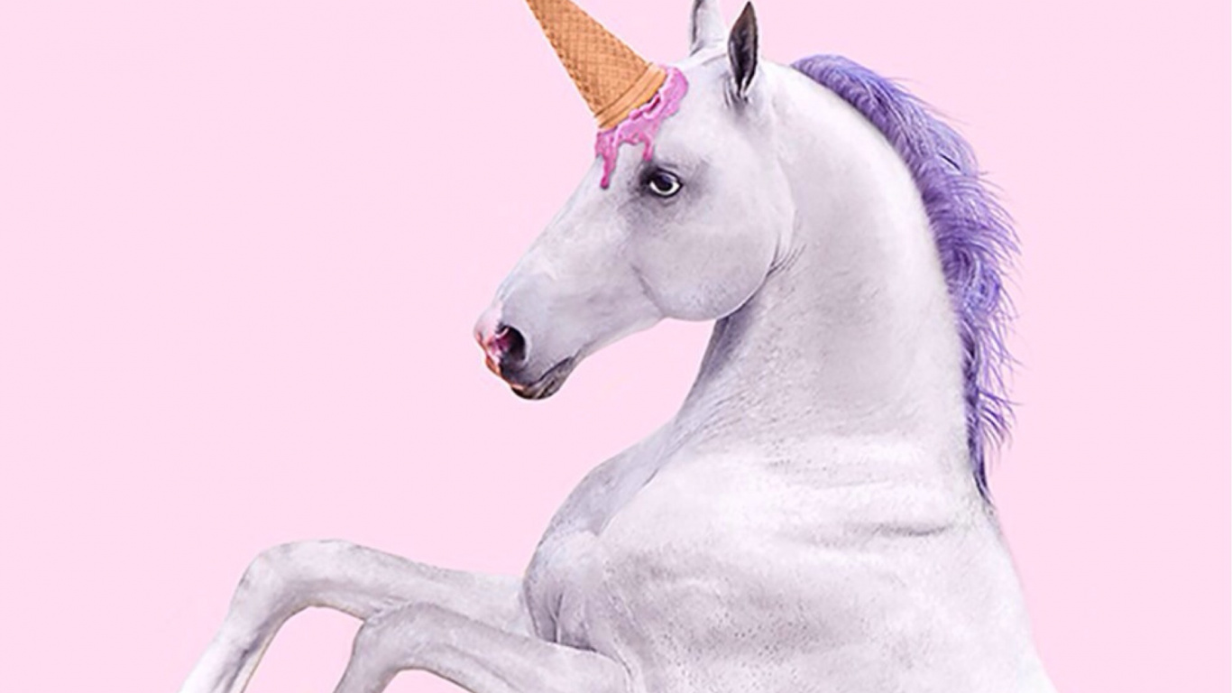 Caballo Blanco Con Fondo Blanco. Wallpaper in 1366x768 Resolution