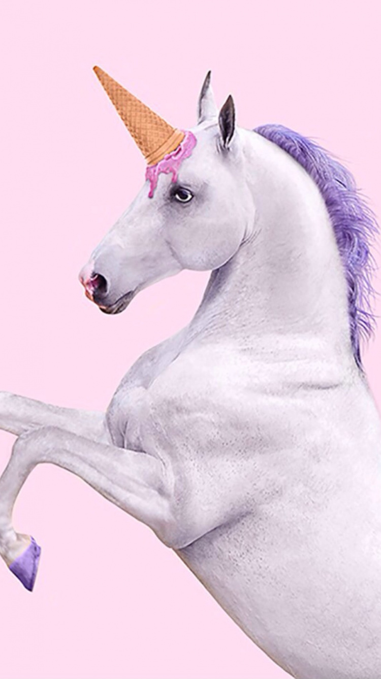 Caballo Blanco Con Fondo Blanco. Wallpaper in 750x1334 Resolution