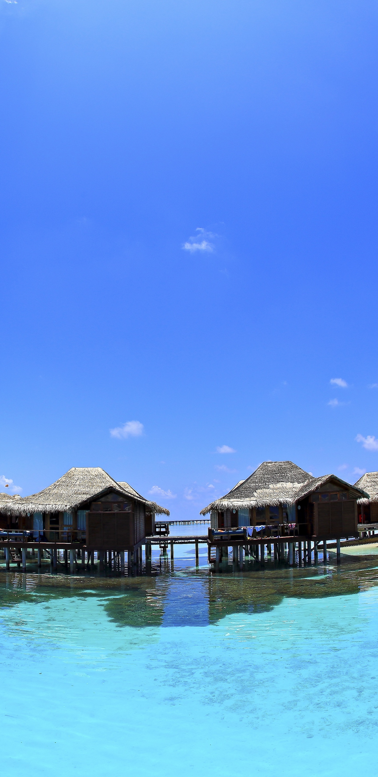 Casas de Madera Marrón Sobre el Agua Bajo un Cielo Azul Durante el Día. Wallpaper in 1440x2960 Resolution