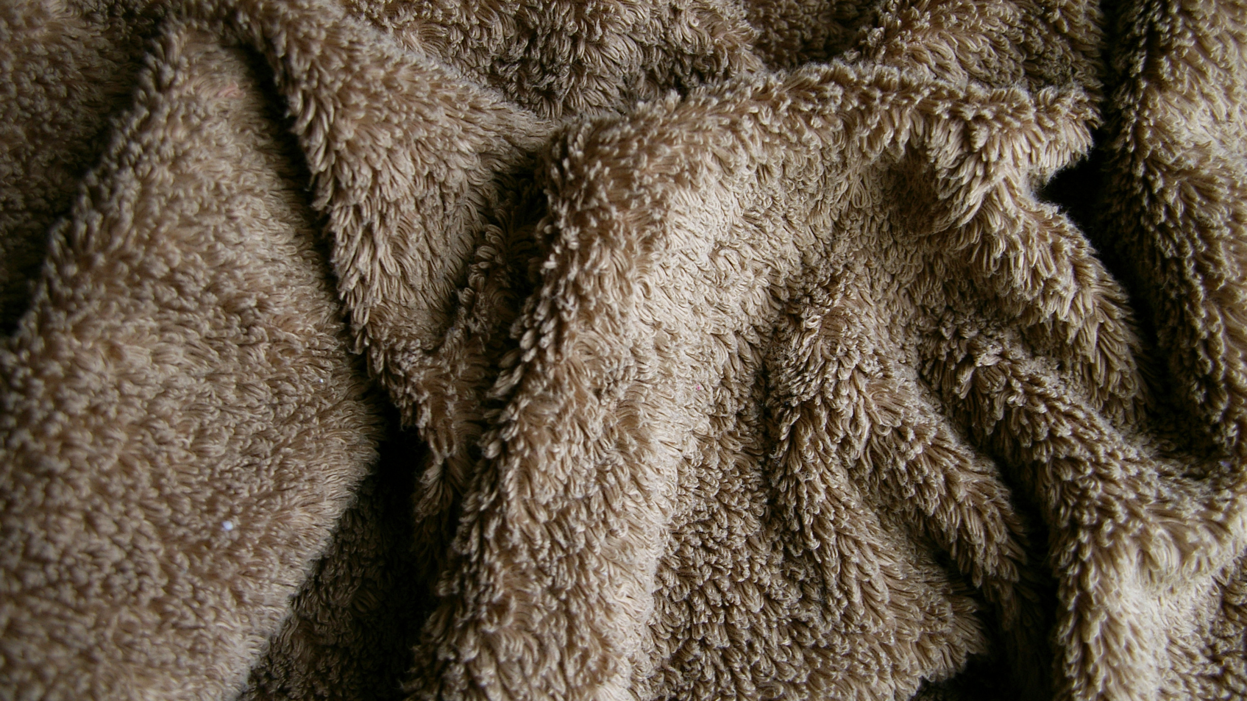 Textile Fourrure Marron et Blanc. Wallpaper in 2560x1440 Resolution