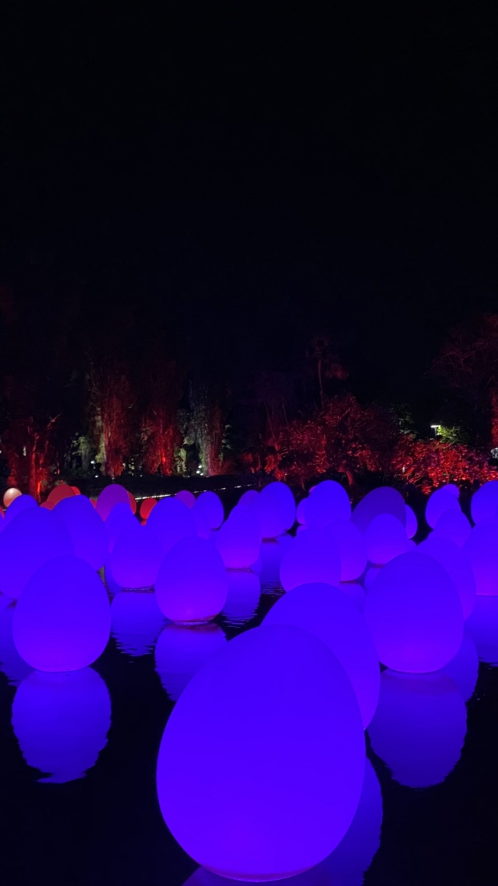 Singapur, Licht, Physik, Wissenschaft, Statistik. Wallpaper in 720x1280 Resolution