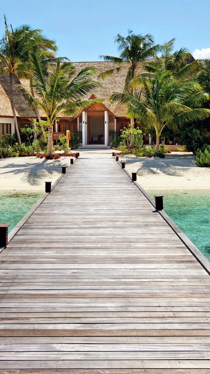 Brown Wooden Dock Near Body of Water During Daytime. Wallpaper in 720x1280 Resolution