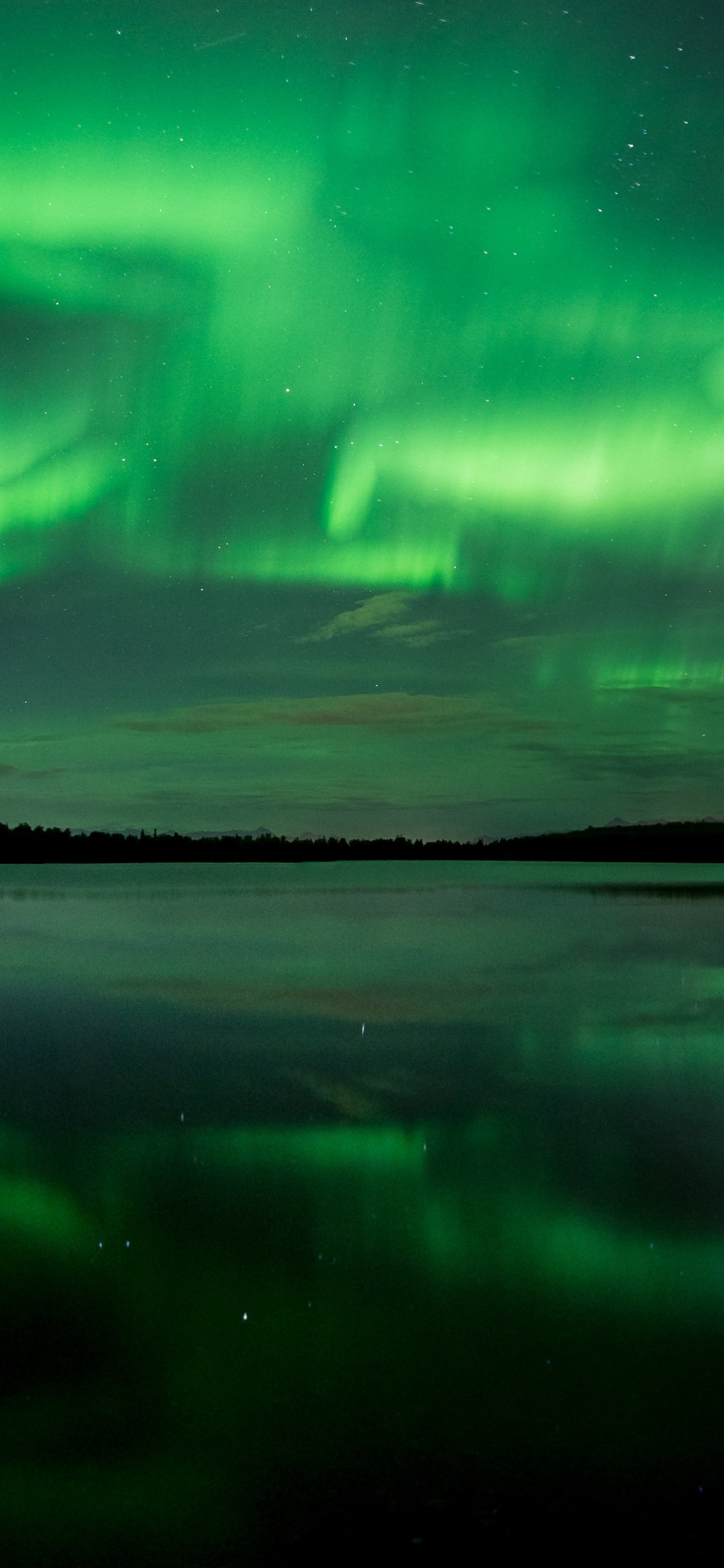 Papel Tapiz Digital Claro Azul y Morado. Wallpaper in 1242x2688 Resolution