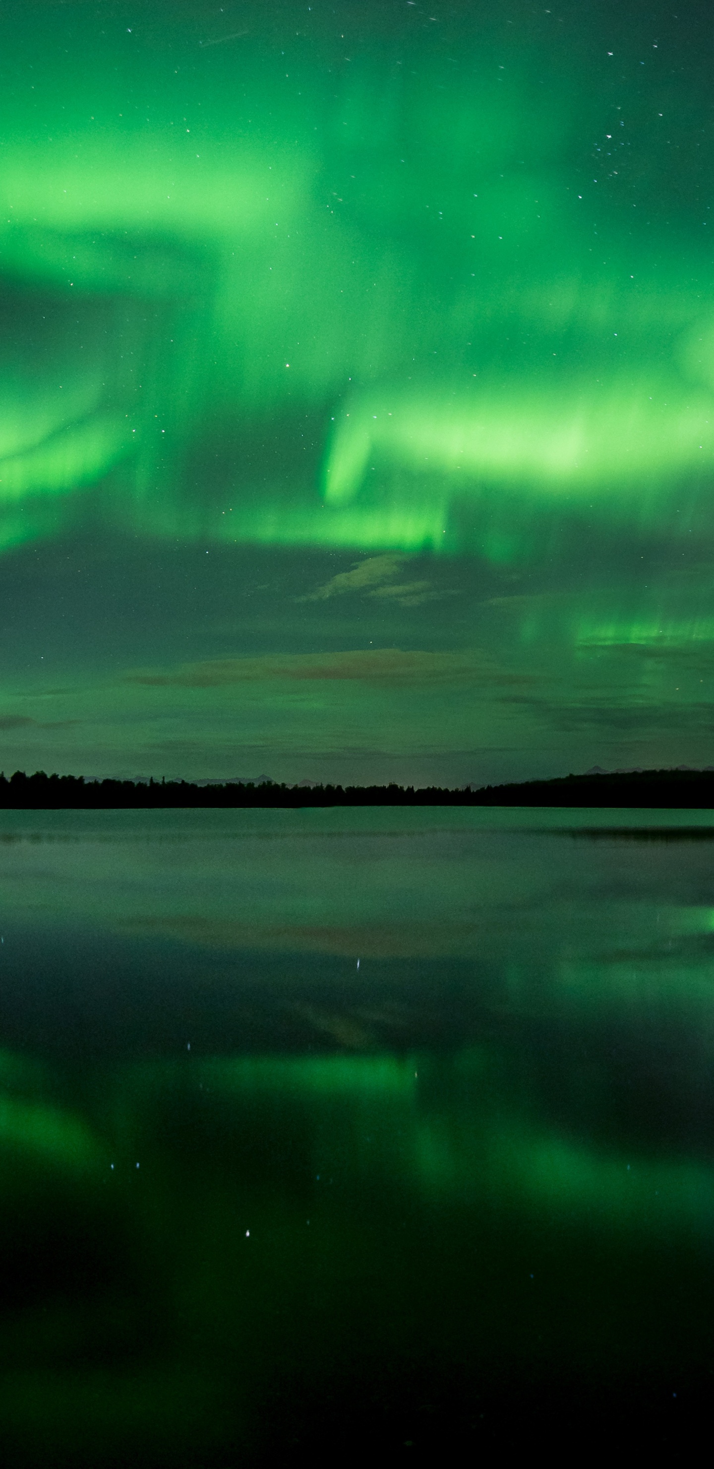 奥罗拉, 性质, 光, 气氛, 午夜 壁纸 1440x2960 允许