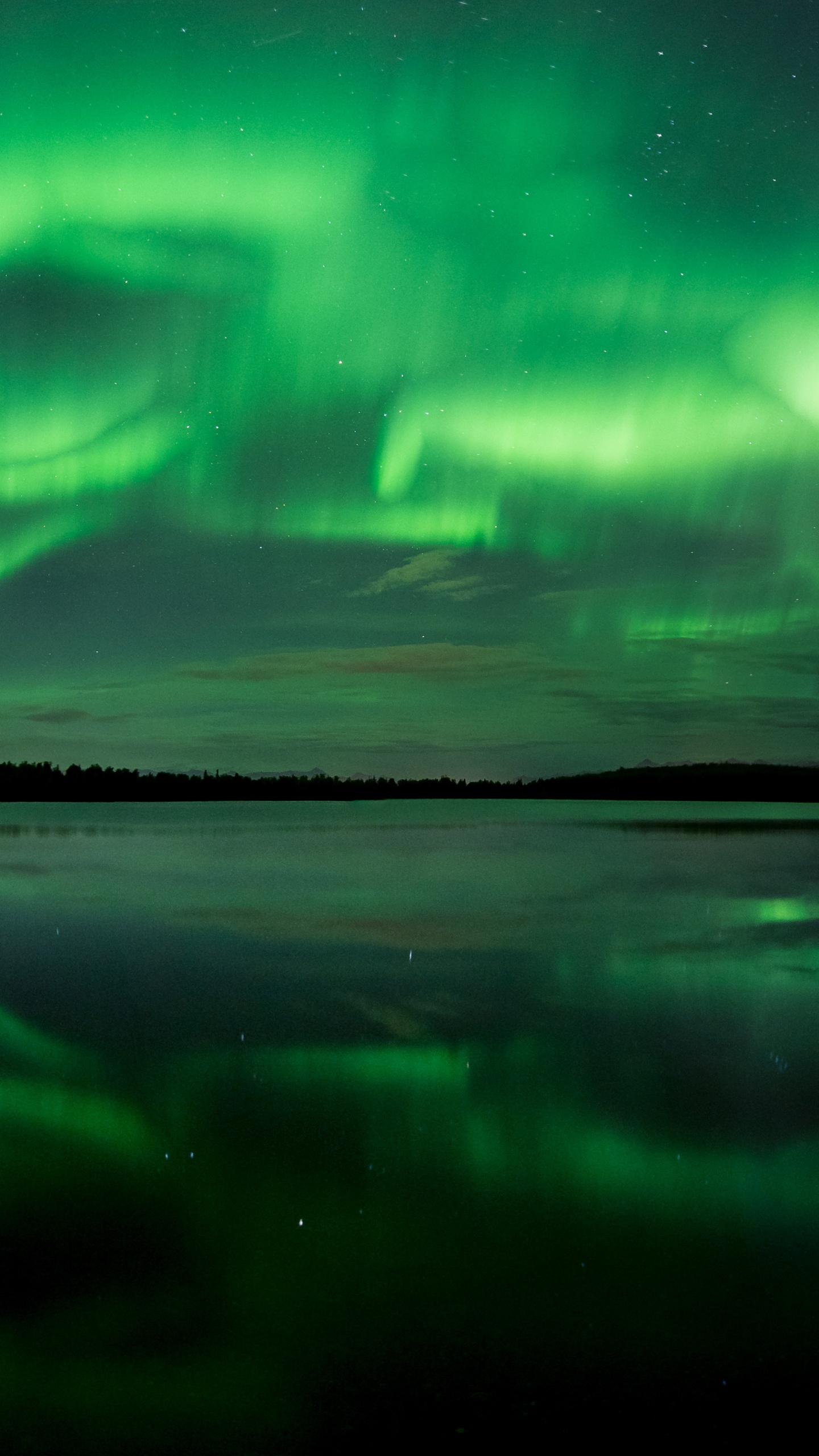 Blaues Und Lila Licht Digitales Hintergrundbild. Wallpaper in 1440x2560 Resolution