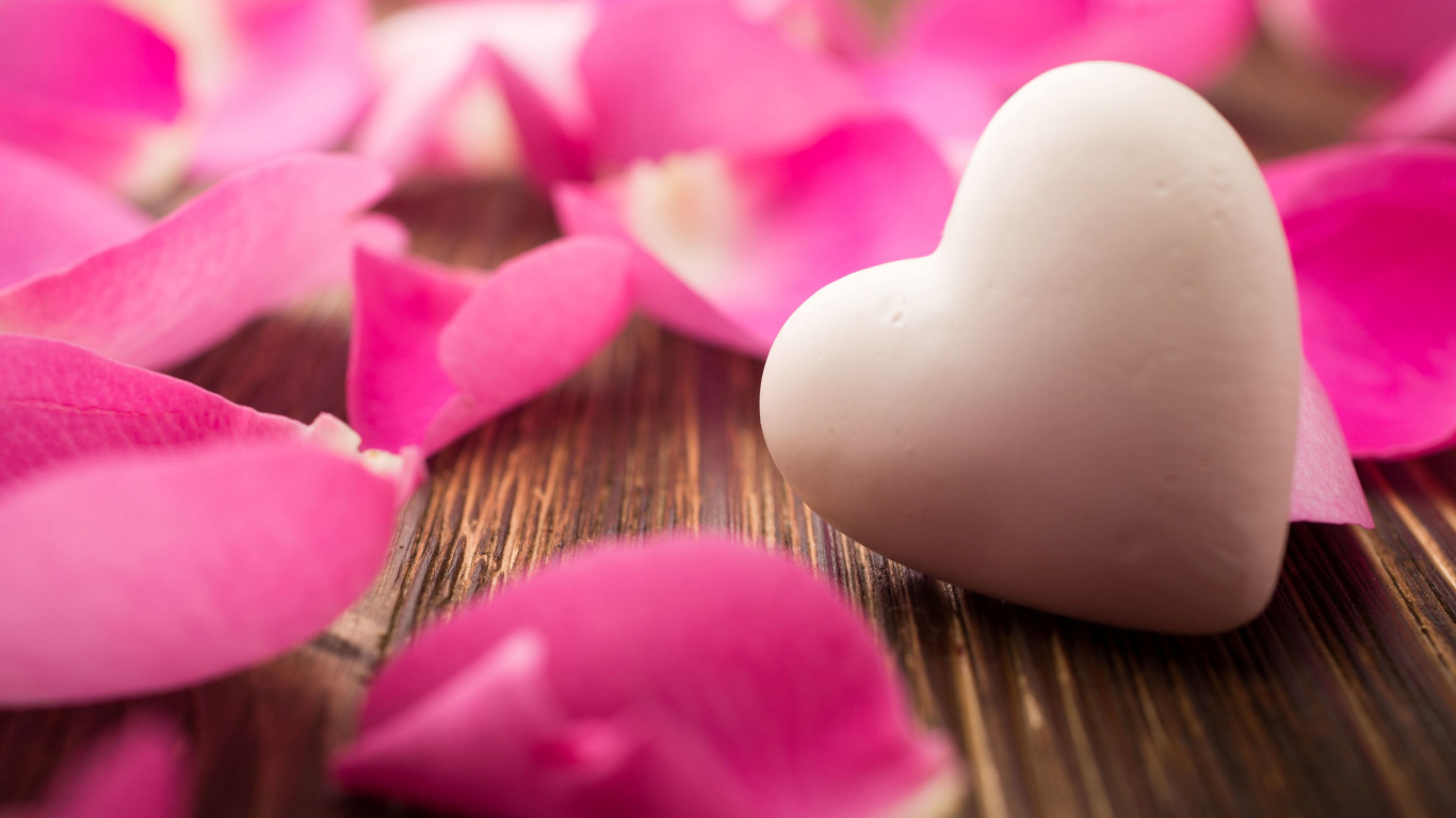 Coeur D'amour, Cœur, Pétale, Pink, Chéri. Wallpaper in 1366x768 Resolution