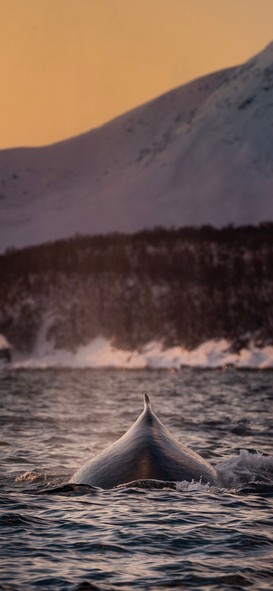 Body of Water Near Snow Covered Mountain During Daytime. Wallpaper in 1125x2436 Resolution