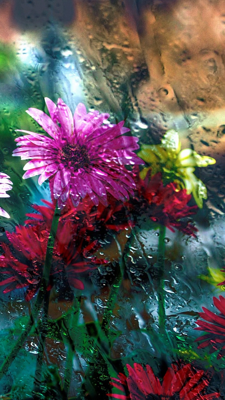 Flores Rosadas Con Hojas Verdes. Wallpaper in 720x1280 Resolution