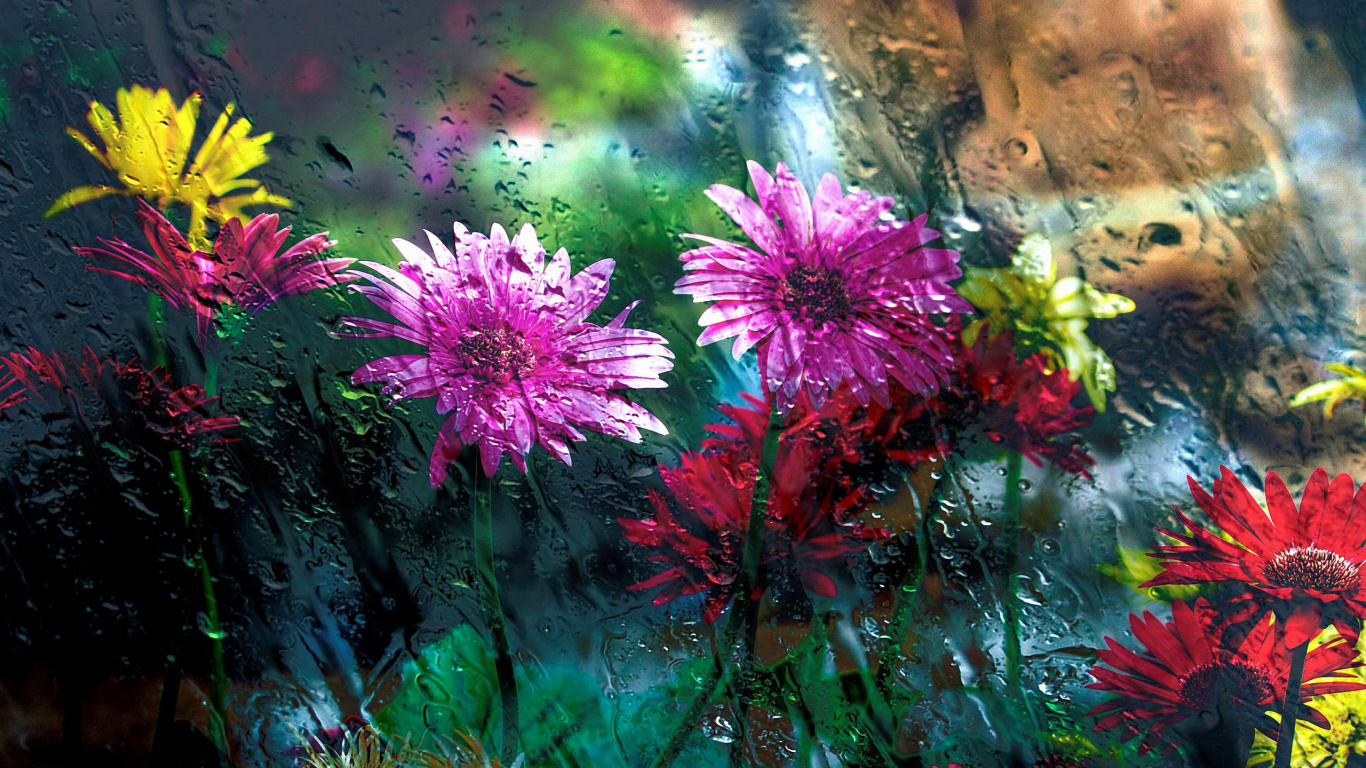 Fleurs Roses Avec Des Feuilles Vertes. Wallpaper in 1366x768 Resolution