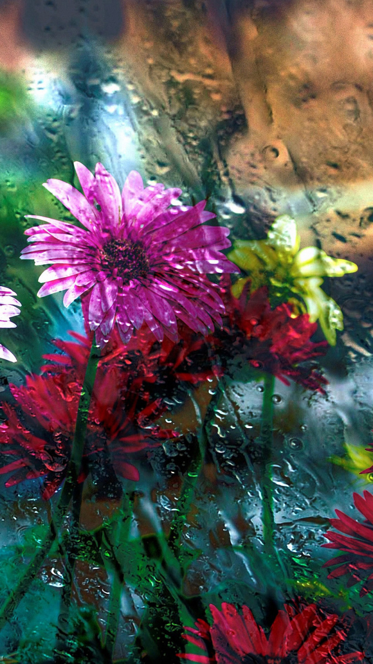 Fleurs Roses Avec Des Feuilles Vertes. Wallpaper in 750x1334 Resolution