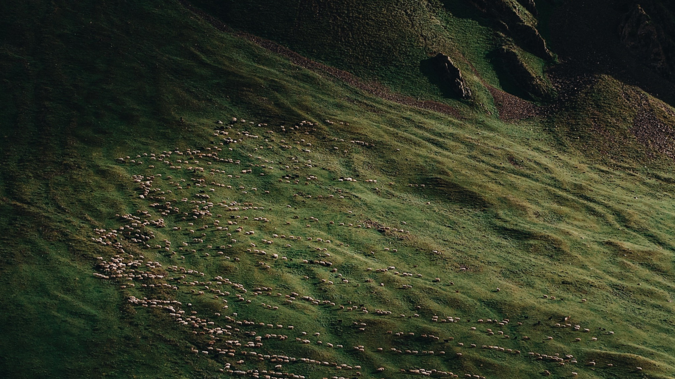 Naturaleza, Tierra, Agua, Madera, Tintes y Matices. Wallpaper in 1366x768 Resolution