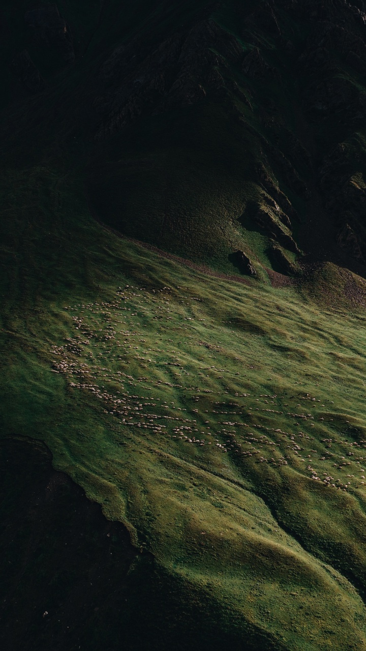 Nature, Terre, Eau, de Teintes et de Nuances, Prairie. Wallpaper in 720x1280 Resolution