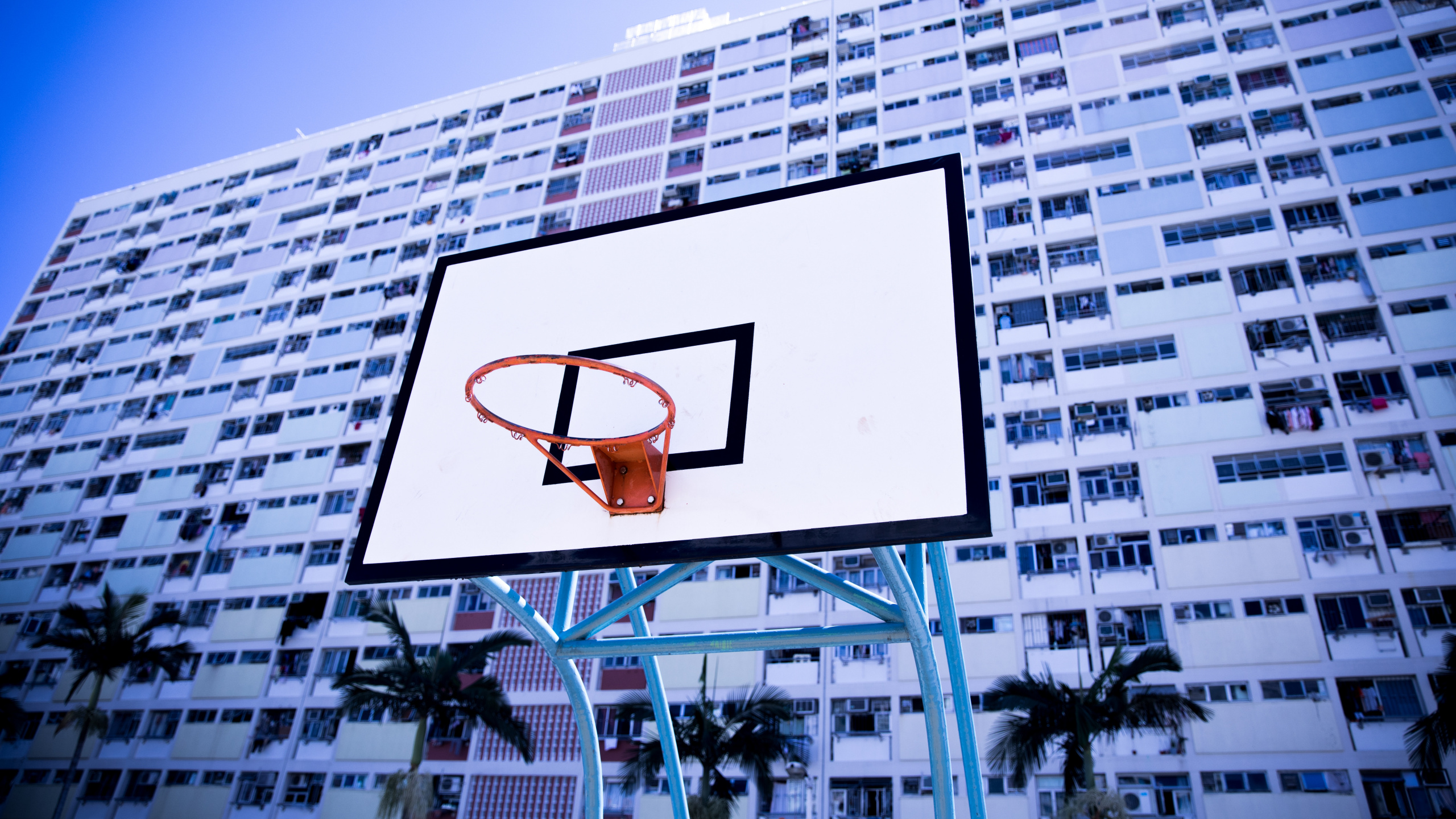 White and Black Basketball Hoop. Wallpaper in 2560x1440 Resolution