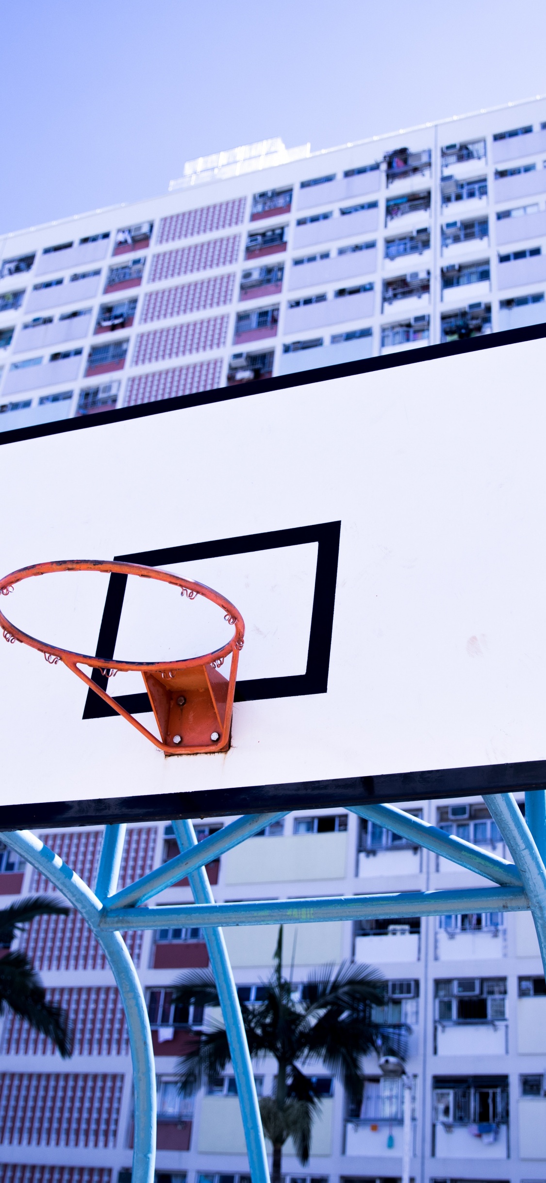 Panier de Basket Blanc et Noir. Wallpaper in 1125x2436 Resolution