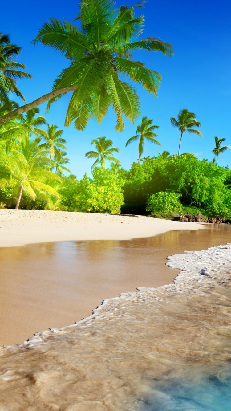 Beach, Shore, Tropics, Sea, Caribbean. Wallpaper in 750x1334 Resolution