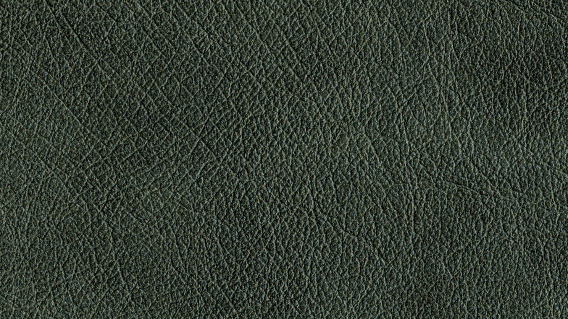 Green Textile in Close up Photography. Wallpaper in 1920x1080 Resolution