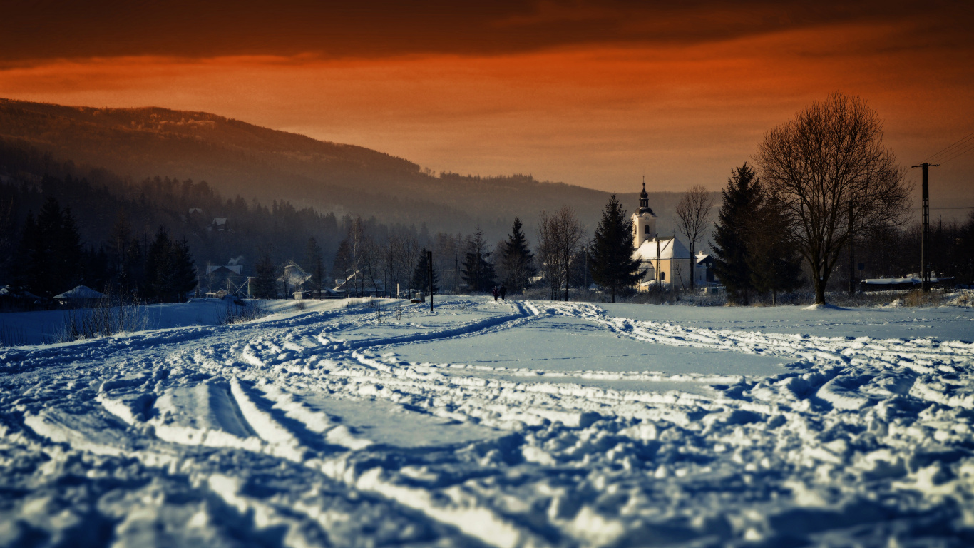 Schneebedecktes Feld Mit Bäumen Bei Sonnenuntergang. Wallpaper in 1366x768 Resolution