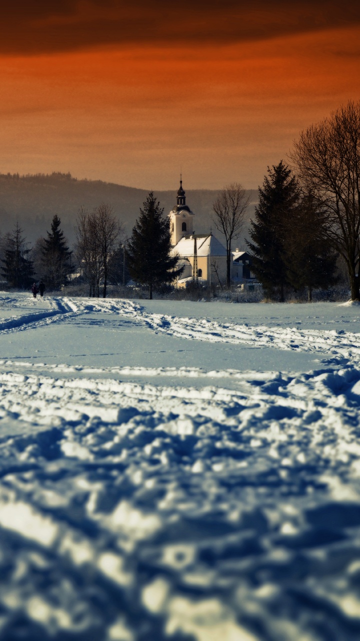 Snow Covered Field With Trees During Sunset. Wallpaper in 720x1280 Resolution