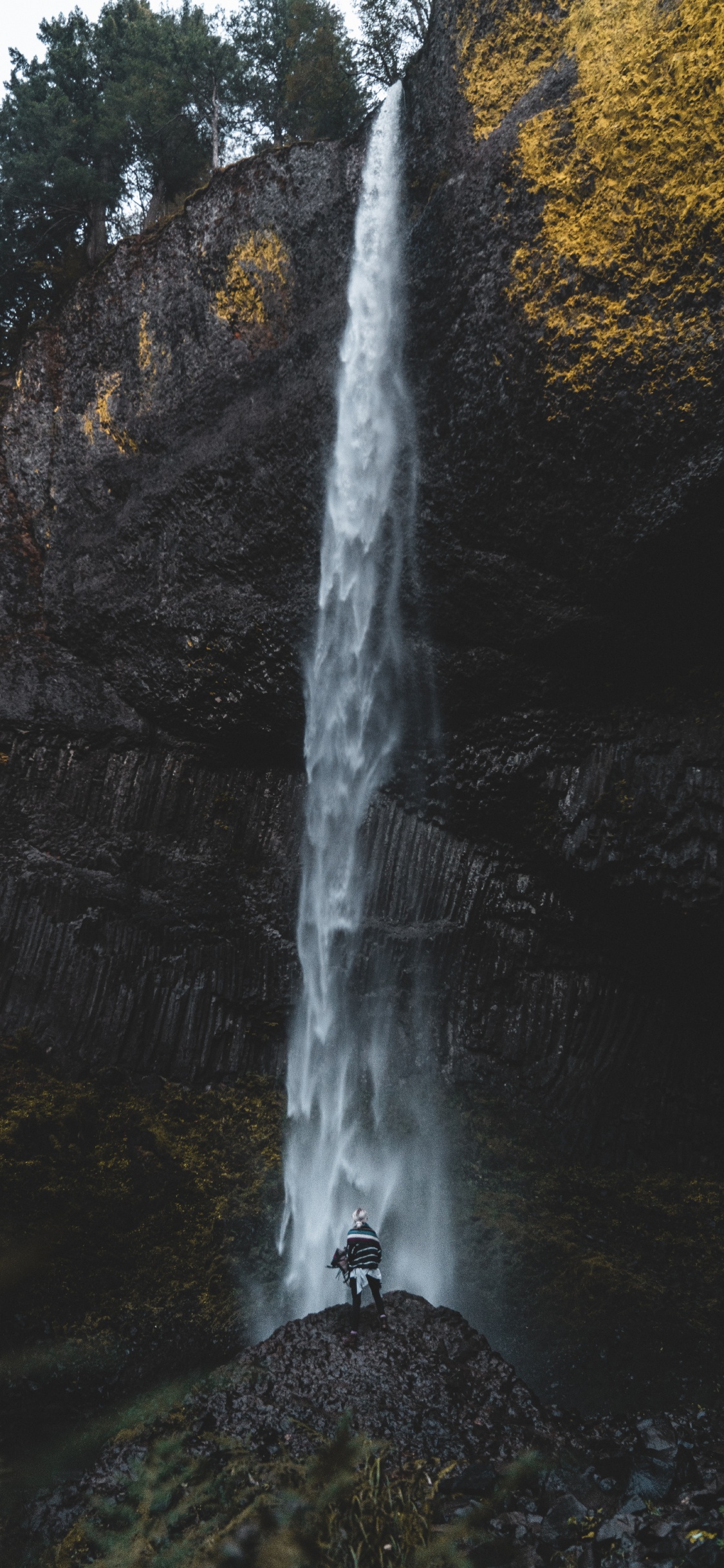 Cascada, Agua, Naturaleza, Los Recursos de Agua, Paisaje Natural. Wallpaper in 1125x2436 Resolution