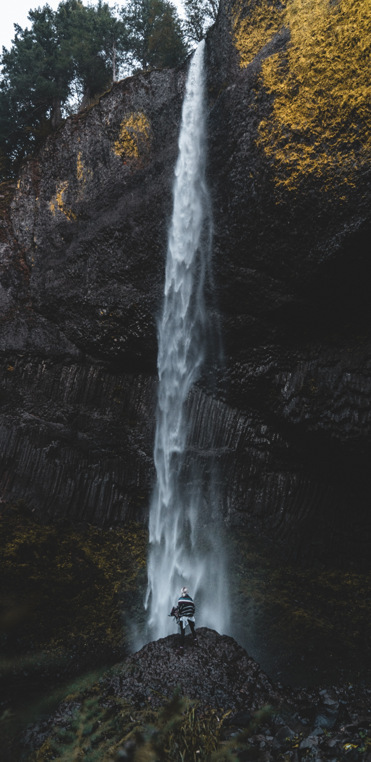 下载 1440x2960 壁纸 性质, 水资源, 自然景观, 水道, 自然保护区 性质, 水资源, 自然景观, 水道, 自然保护区 壁纸 1440x2960 允许
