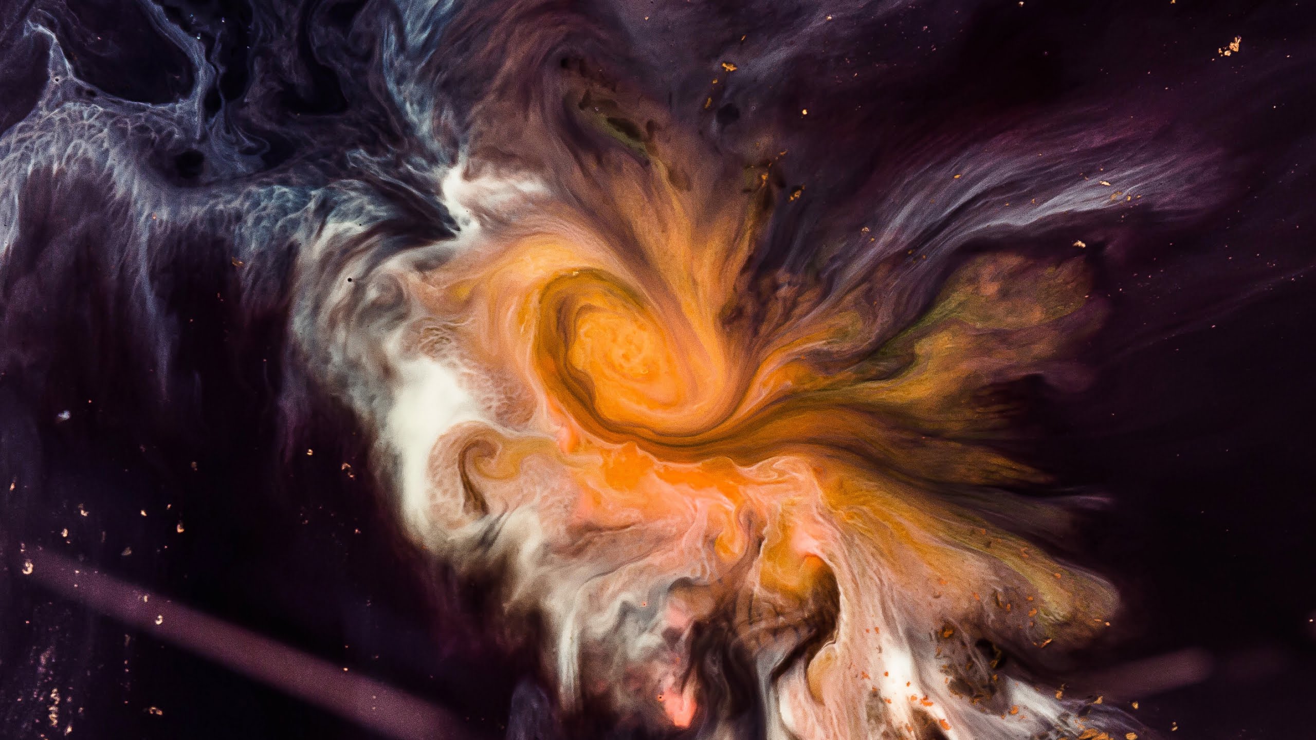 LineageOS, Stock Lineage Os, Android, Système D'exploitation, Firmware. Wallpaper in 2560x1440 Resolution