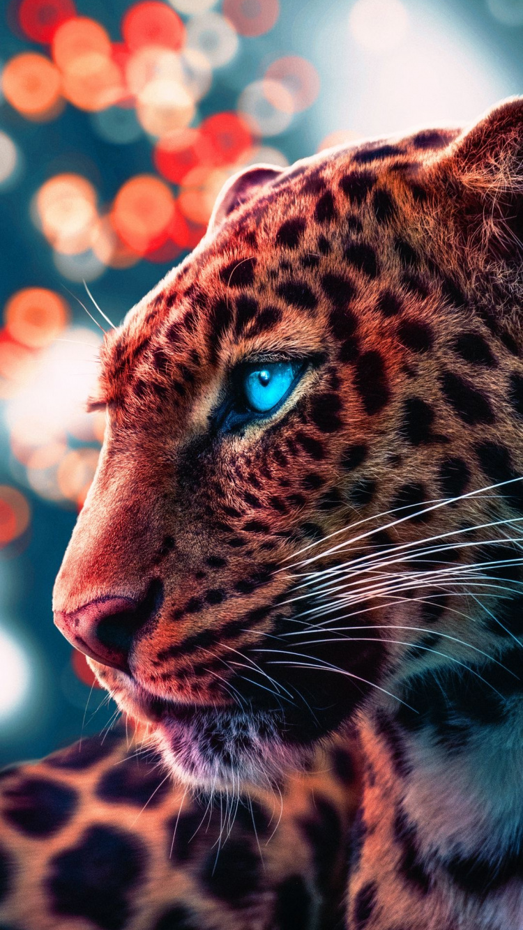 Leopardo, Tigre, Leones, Leopardo Nublado, Leopardo Del Amur. Wallpaper in 750x1334 Resolution