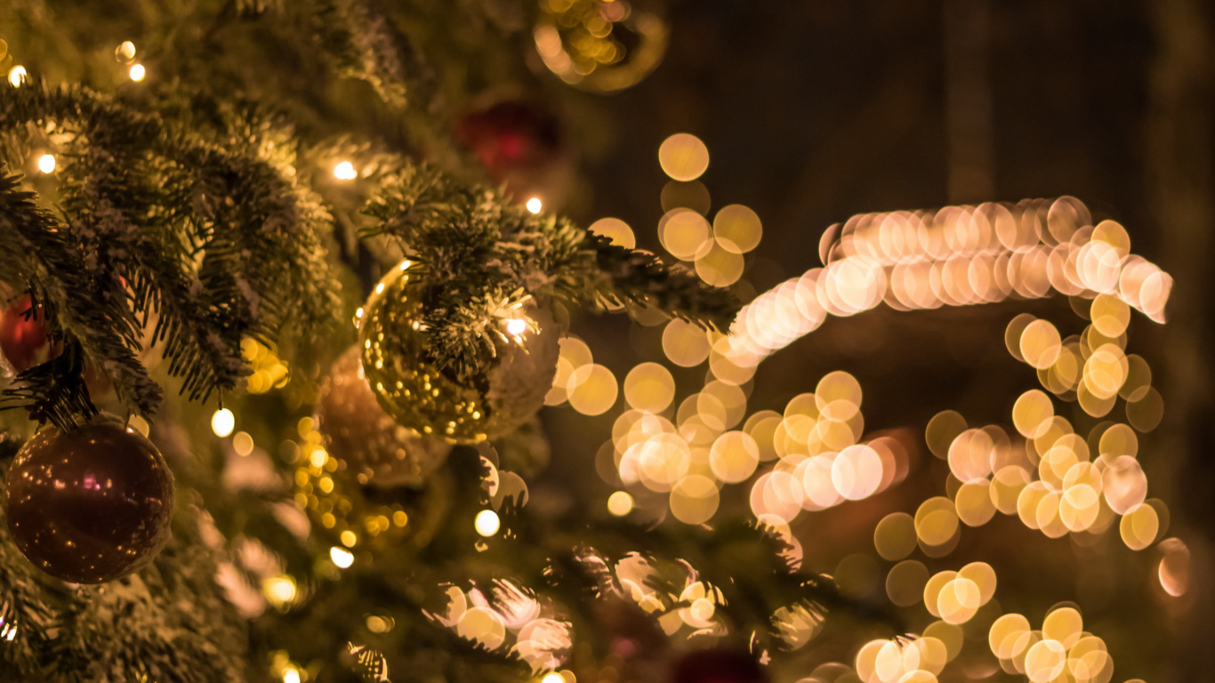 Christmas Day, Holiday, Christmas Lights, Christmas Ornament, Christmas. Wallpaper in 1366x768 Resolution